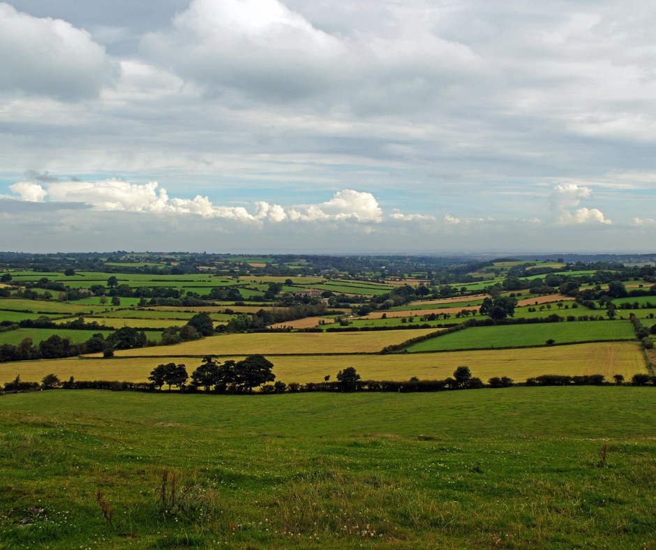 Commercial Plots in New Town Kolkata